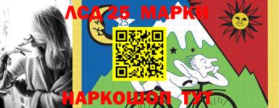 спайс Тара