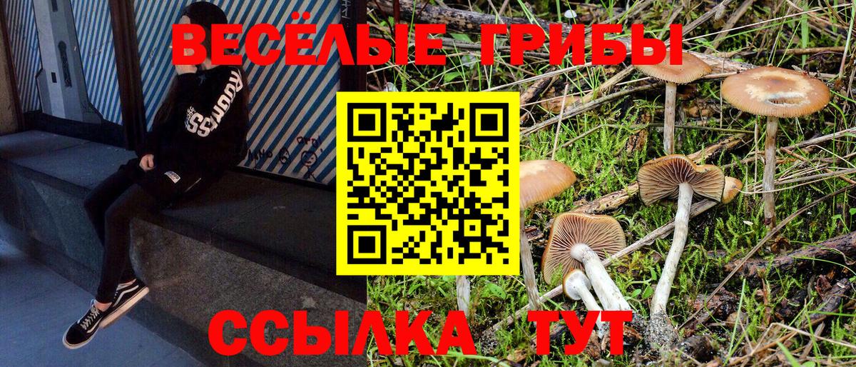 купить  цена  Псилоцибиновые грибы MAGIC MUSHROOMS  Вход с VPN  Галлюциногенные грибы Psilocybe  Нефтекумск 